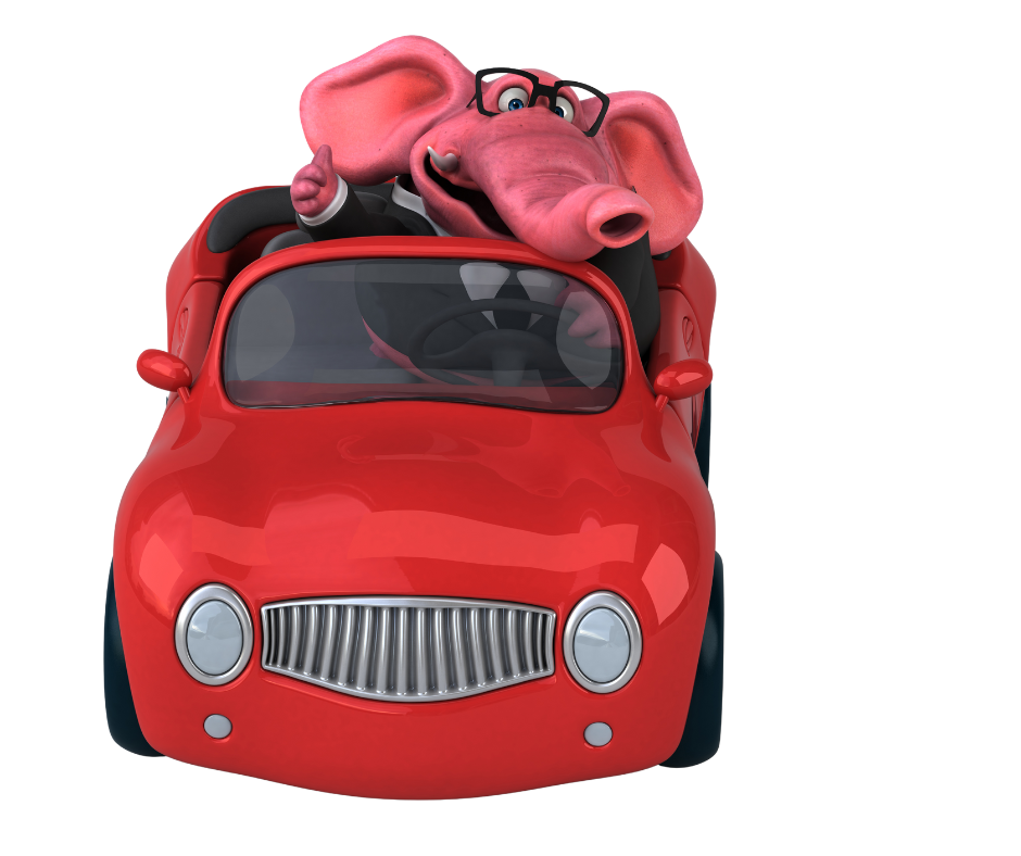 Digital Marketing Team